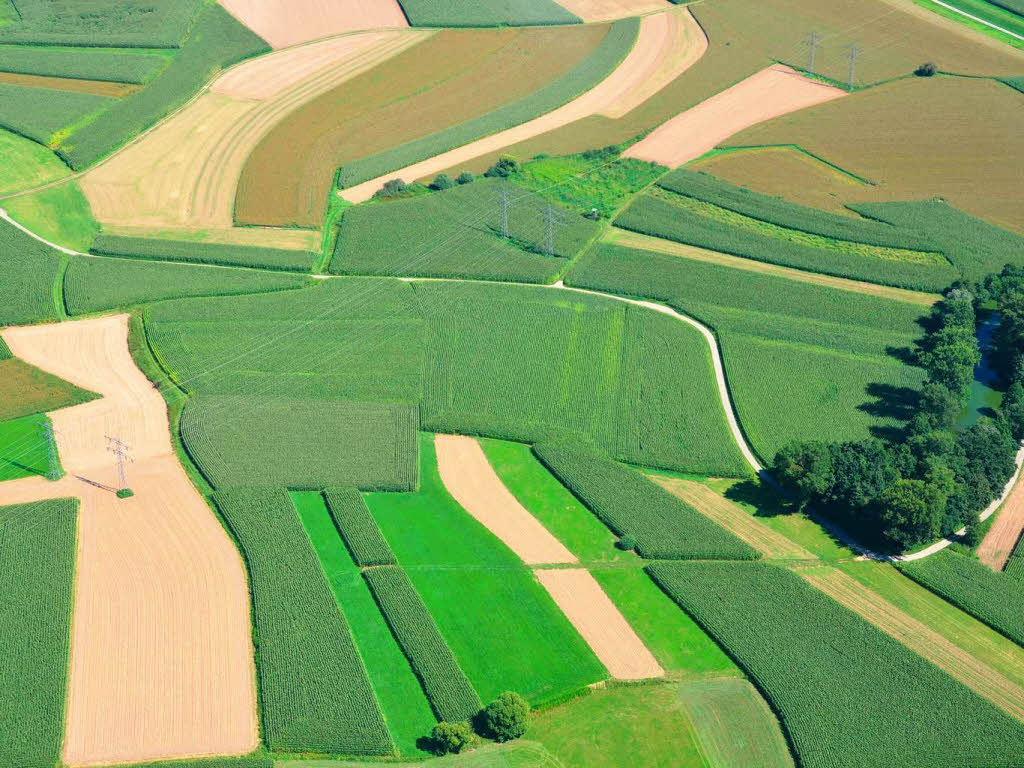 Impressionen vom Zeppelin-Flug bers Offenburger Rebland