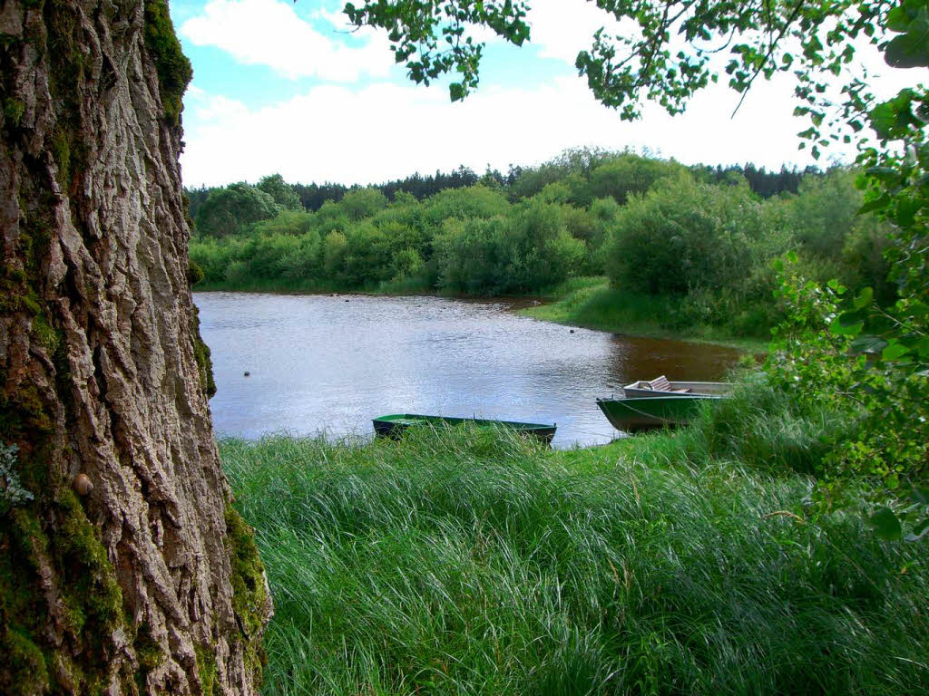 Kirnbergsee bei Brunlingen-UnterbrndFoto: Klaus Dittrich, Ettenheim