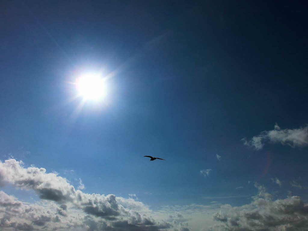 Nordfriesland, Hamburger HalligFoto: Klaus Dittrich, Ettenheim