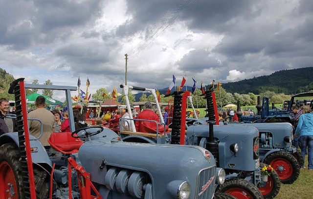 Immer viel zu schauen gibt es auf dem Elzmurfest.   | Foto: Elfriede Mosmann