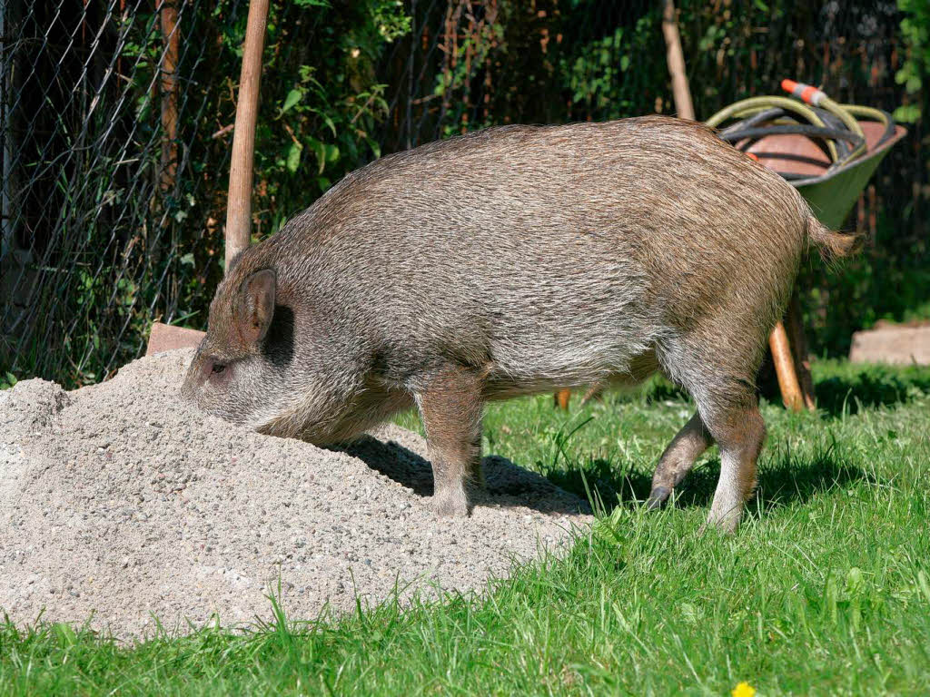 Konrad in allen Lebenslagen