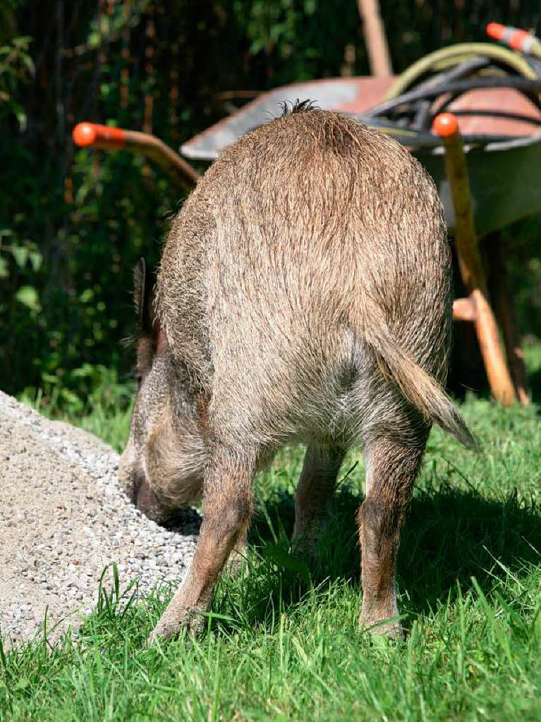 Konrad in allen Lebenslagen