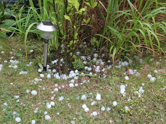 Das Gewitter hat in Heitersheim tischtennisballgroe Hagelkrner hinterlassen.  | Foto: Sabine Model