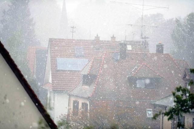 Hagel verwstet Rebflchen auf Staufener Gemarkung