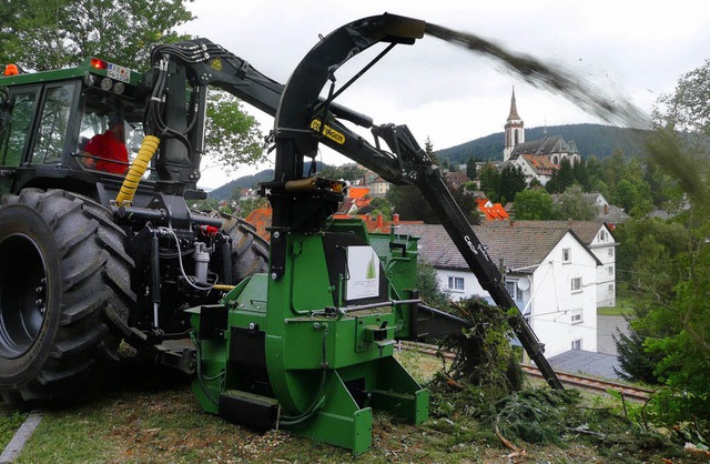 Nein, Neustadt wird nicht zugehckselt...e, an der das Holz geschlagen wurde.    | Foto: Peter Stellmach