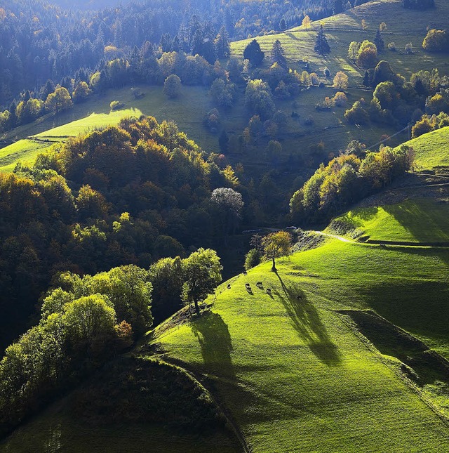 Das Mnstertal besticht mit seiner Landschaft.   | Foto: E. Spiegelhalter