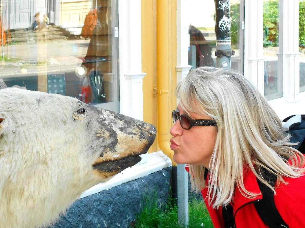 Begegnung mit einem Eisbr. Susanne Aust aus Schopfheim traut sich in Nordnorwegen einmal ganz nah heran.