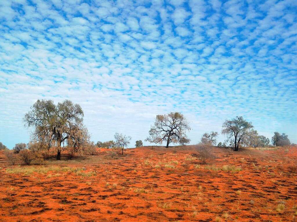 Kontrastreiche Natur im Outback nahe Alice Springs. Der Fotograf ist Andreas Jakob aus Merdingen.