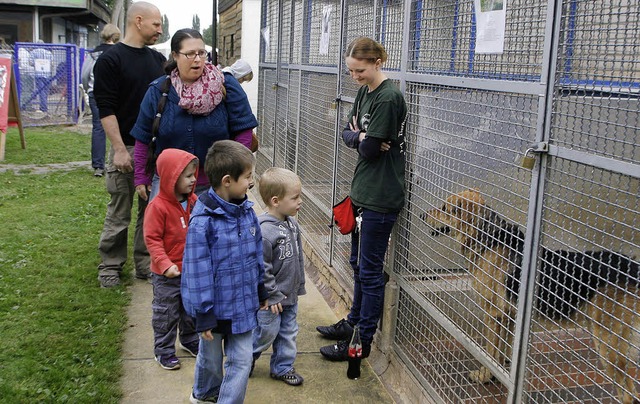 Keine Angst vor groen Tieren haben diese drei Jungen beim Tierheimfest.  | Foto: H. FSSEL