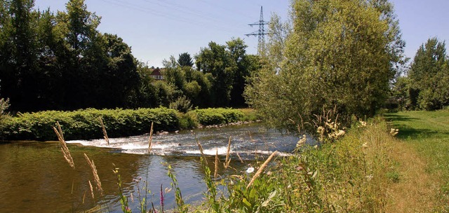 Die Wiese bei Hauingen &#8211;  auch da fhrt die BZ-Radtour vorbei.   | Foto: Nikolaus trenz