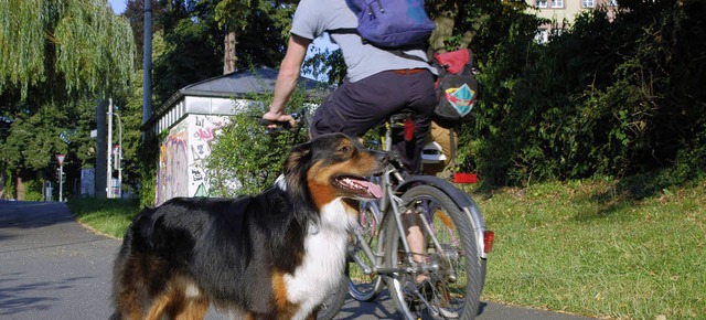 Gefahr fr Radler: Freilaufende Hunde ...n Wegen  strker an die Leine nehmen.   | Foto: Privat