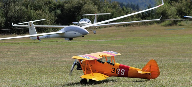 50 Jahre Segelfluggruppe: Groe und kl...eim Flugplatzfest am Sonntag zu sehen.  | Foto: Christa Maier