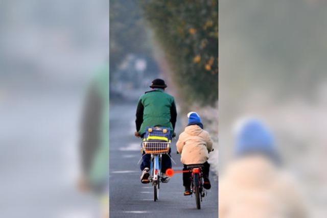 Regierung will mehr Radwege - Fahrradanteil von 15 Prozent im Jahr 2020?