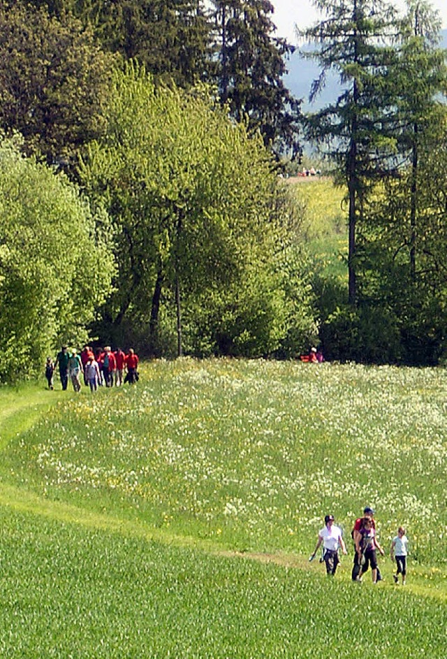 Wandern in herrlicher Natur ist einer der Pluspunkte fr den Hochschwarzwald.   | Foto: Christa  Maier