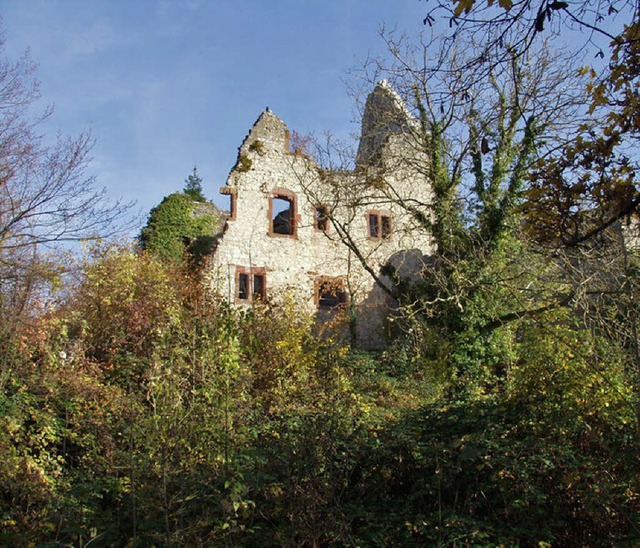 Blick auf die Ruine Landeck   | Foto: Burgverein