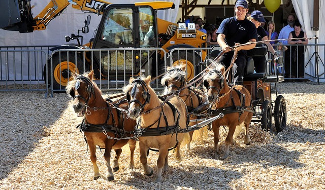 Von der Ponyvorfhrung bis zur Fumass...gebot auf der Baden-Messe ist riesig.   | Foto: rita eggstein