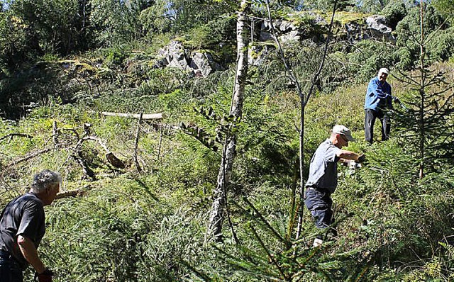 Der Vorsitzende des Schwarzwaldvereins...gen Helfern den Lehenkopffelsen frei.   | Foto: Cornelia Liebwein