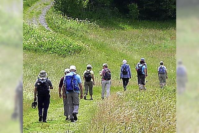 Wanderwochen in Lenzkirch