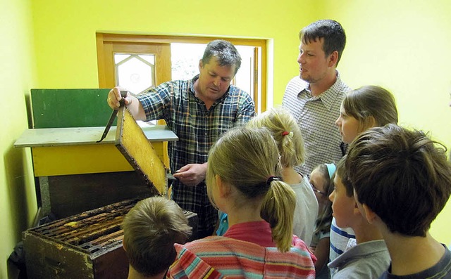 Eine echte Bienenwabe konnten die Kind...ts beim Imkerverein in Teningen sehen.  | Foto: Janina Ruth