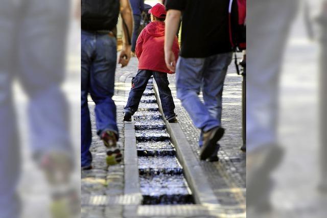 Geologen prsentieren Spuren der Erdgeschichte in der Innenstadt