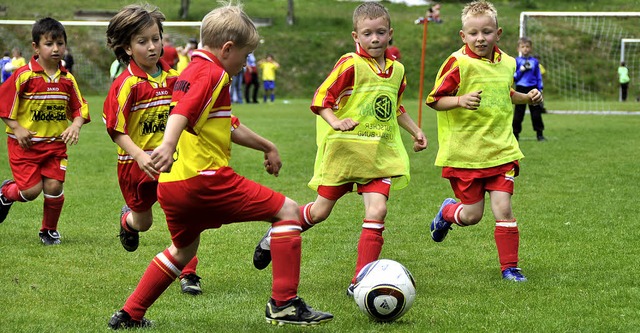 Spannenden Jugendspiele werden am Sonntag in Bergalingen erwartet.  | Foto: kirsten lux