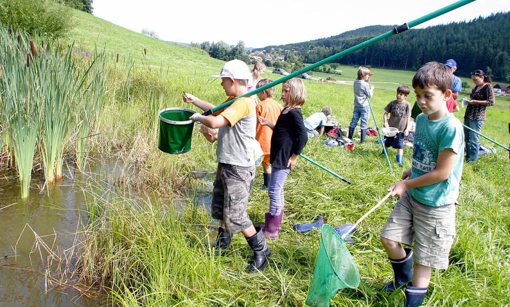 Seelbach: Was lebt im Teich?