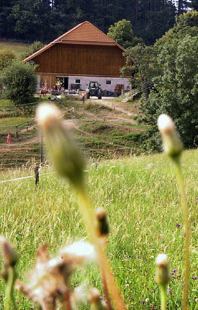 Der August verwhnte (nicht nur) die H...ahme entstand zwischen Horben und Au.   | Foto: Blum