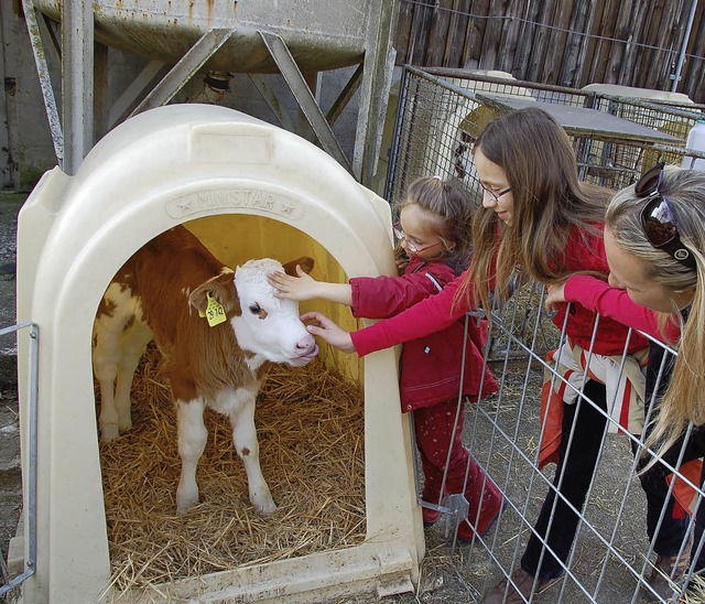 Direkten Kontakt mit Tieren bietet der Schulbauernhof.   | Foto: Trul