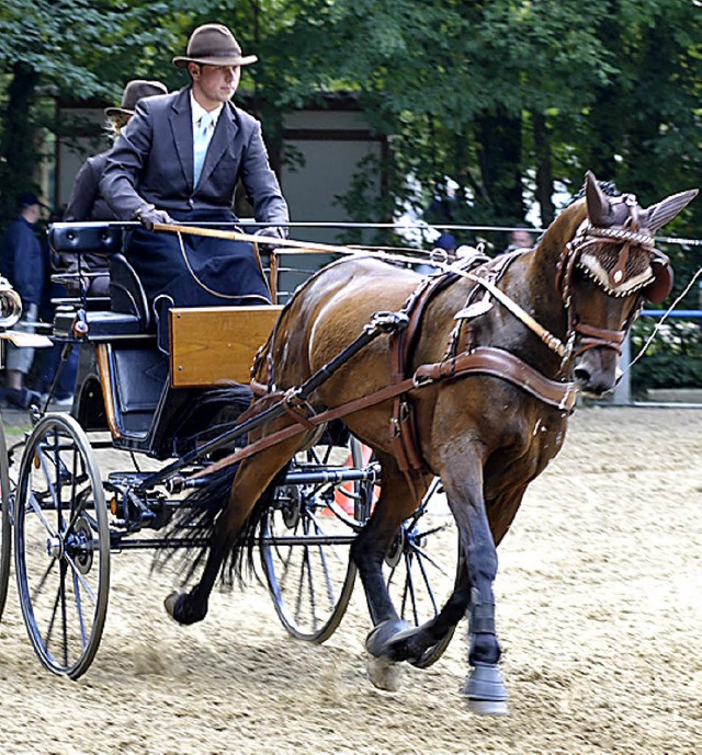 Philipp Fait bei der Arbeit mit seinem Einspnner.   | Foto: Archiv: S. Khli