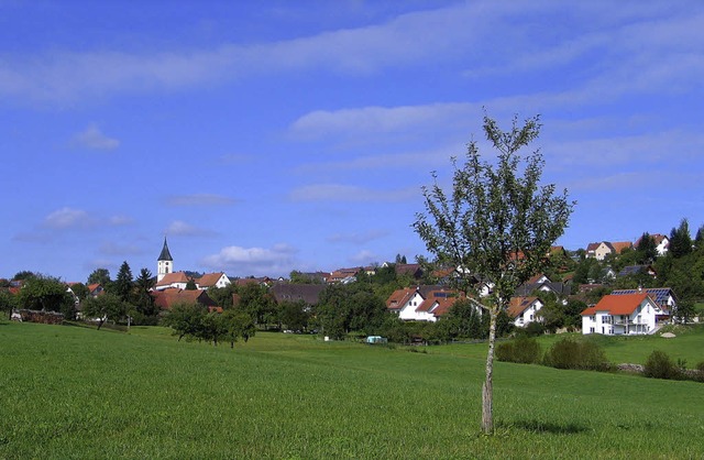 Die Wasserversorgung im Ortsteil Reiselfingen muss erneuert werden.   | Foto: Martin Wunderle