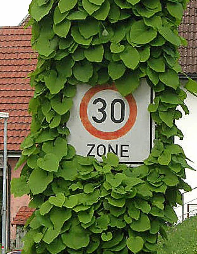 Dass die Tempolimits nicht eingehalten...r Sprechstunde des Oberbrgermeisters.  | Foto: Archivfoto: Berndt