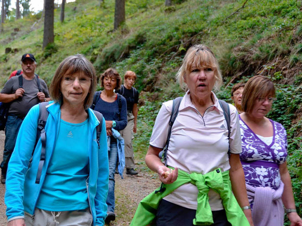 Impressionen von der Leserwanderung der BZ durch die Wehraschlucht. Impressionen von der Leserwanderung der BZ durch die Wehraschlucht.