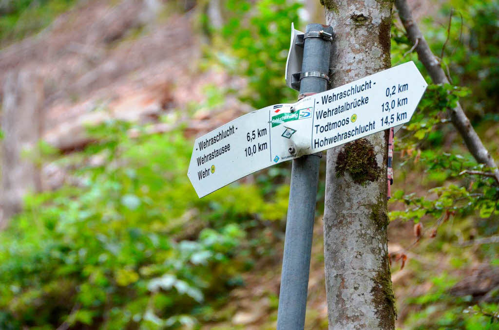 Impressionen von der Leserwanderung der BZ durch die Wehraschlucht. Impressionen von der Leserwanderung der BZ durch die Wehraschlucht.