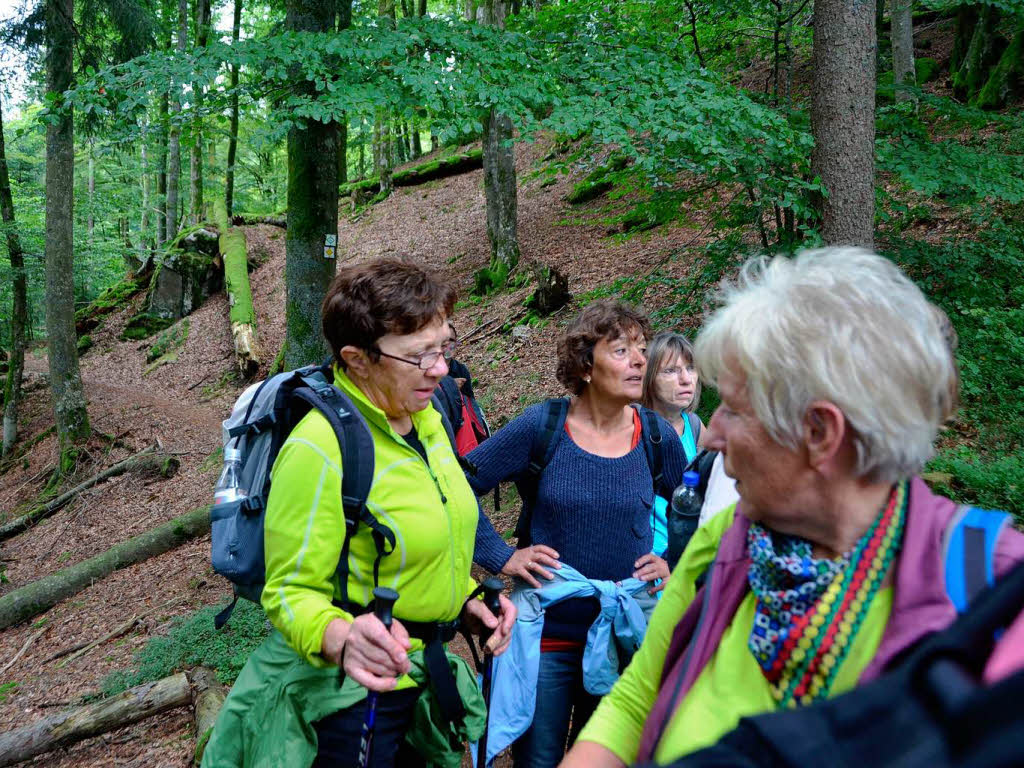 Impressionen von der Leserwanderung der BZ durch die Wehraschlucht. Impressionen von der Leserwanderung der BZ durch die Wehraschlucht.