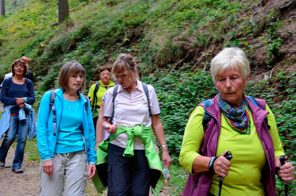 Impressionen von der Leserwanderung der BZ durch die Wehraschlucht. Impressionen von der Leserwanderung der BZ durch die Wehraschlucht.