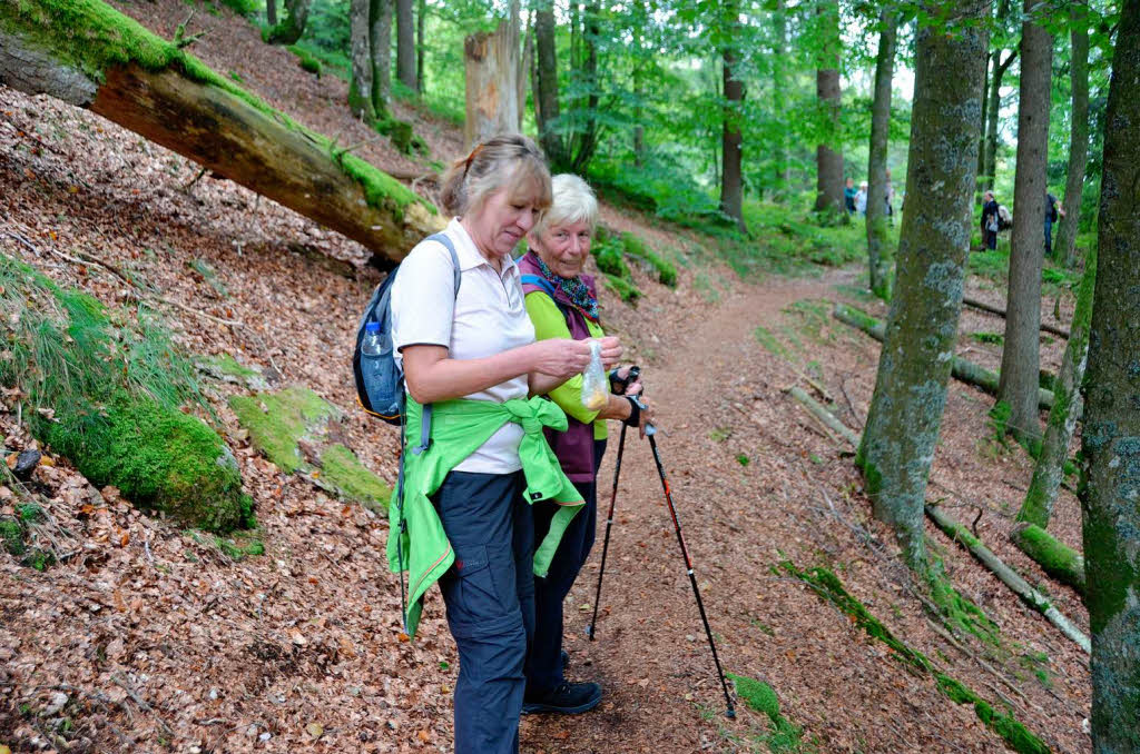 Impressionen von der Leserwanderung der BZ durch die Wehraschlucht. Impressionen von der Leserwanderung der BZ durch die Wehraschlucht.