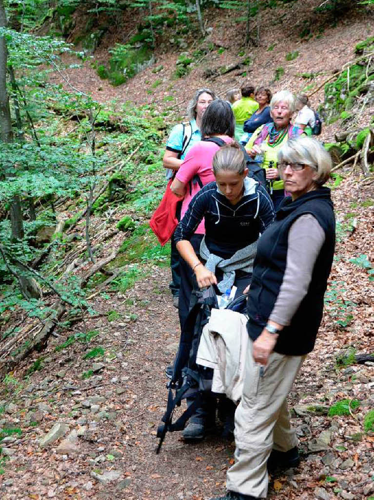 Impressionen von der Leserwanderung der BZ durch die Wehraschlucht. Impressionen von der Leserwanderung der BZ durch die Wehraschlucht.