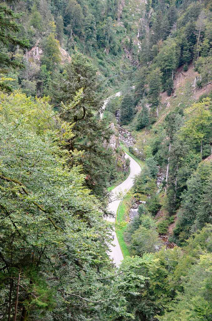 Impressionen von der Leserwanderung der BZ durch die Wehraschlucht. Impressionen von der Leserwanderung der BZ durch die Wehraschlucht.