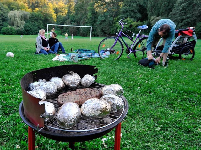 Die Popularitt der Sternwaldwiese hat abgenommen.  | Foto: Rita Eggstein