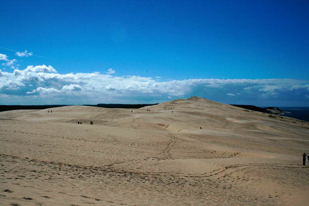 Die Dune du Pyla    an der Atlantikkste in Frankreich    bei Arcachon.