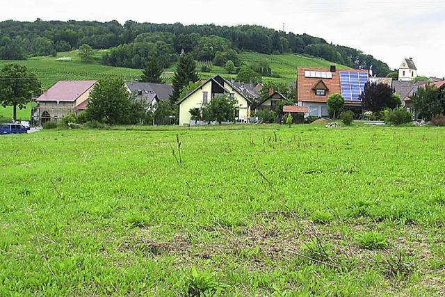 Tannenkircher Bauland begehrt