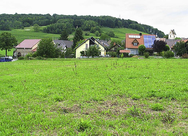 Baugebiet Httstall Tannenkirch  | Foto: Jutta schtz