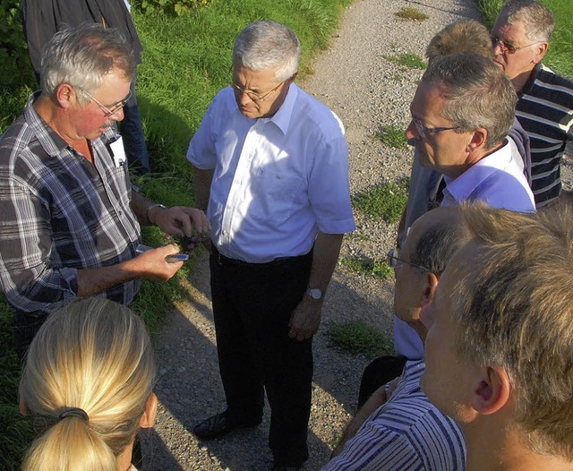 Winzer Whrer (links) im Gesprch mit ... der Reblaus befallenes Blatt (rechts)  | Foto: Lauber