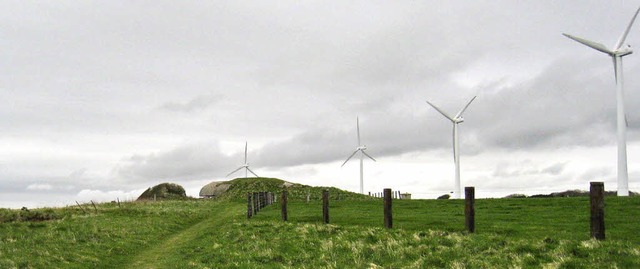 Ein Projekt fr die Zukunft : Von 2017...gie durch Windkraft produziert werden.  | Foto: Repro: Anne Maibaum