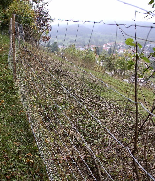 Der hohe Maschendrahtzaun am Kanderner... den Petitionsausschuss in die Stadt.   | Foto: Ulrich Senf