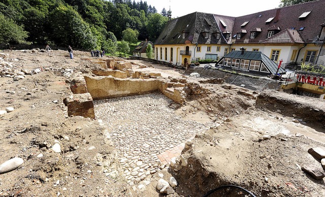 Volle Breitseite: das Ausgrabungsfeld ...ite der Kartaus im Stadtteil Waldsee.   | Foto: Ingo Schneider