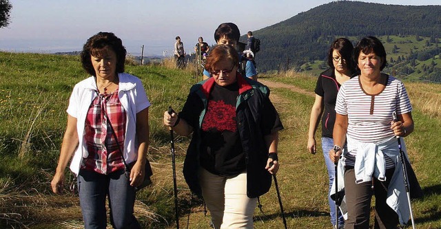 Zahlreiche Wandergruppen genossen  die...ung der Angenbachtaler Wanderfreunde.   | Foto: Karl-Heinz Rmmele