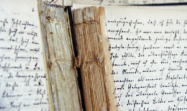 Wertvolle Bestnde aus dem Tagebucharc...des Alten Rathauses eingerichtet wird.  | Foto: Tagebucharchiv