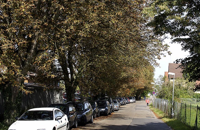 Adieu Kastanienallee: Mit dem Ausbau d...Schattenparkern und Kastanienfreunden.  | Foto: Ilona Hge