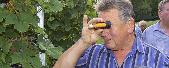 Mit dem Refraktometer ermittelte Obman... Mehlin die Oechslegrade der Trauben. | Foto: Heinz Vollmar Mit dem Refraktometer ermittelte Obman... Mehlin die Oechslegrade der Trauben. | Foto: Heinz Vollmar